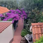 Luka *