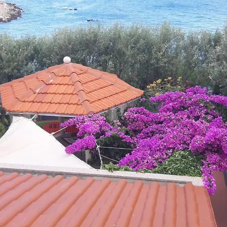 Luka